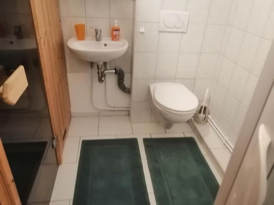 2 Zi Souterrain In Schierstein Apartment *
